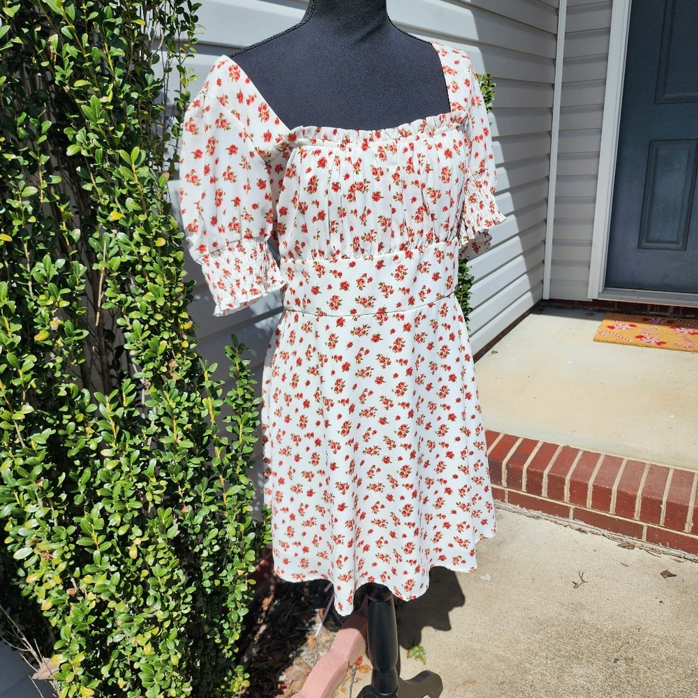 Franscescas Floral Mini